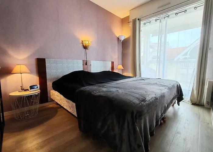 Riviera - T2, Situe En Centre-ville Proche De La Mae-2661